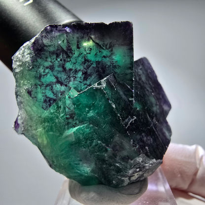 Seltene Phantom Fluorit Würfel Stufe, grün lila Okorusu, Namibia 49*41*33mm #13259