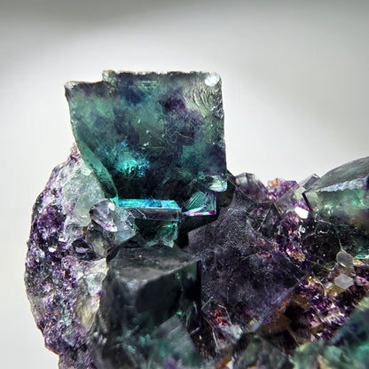 Seltene Phantom Fluorit Würfel Stufe, grün lila Okorusu, Namibia 64*36*15mm #13260