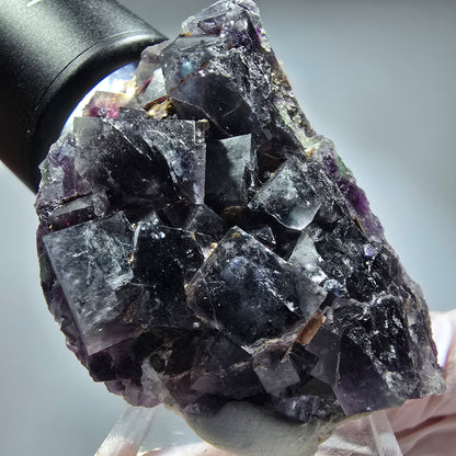 Seltene Phantom Fluorit Würfel Stufe, grün lila Okorusu, Namibia 50*34*37mm #13261