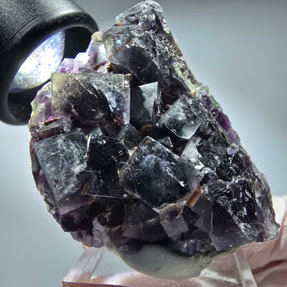 Seltene Phantom Fluorit Würfel Stufe, grün lila Okorusu, Namibia 50*34*37mm #13261
