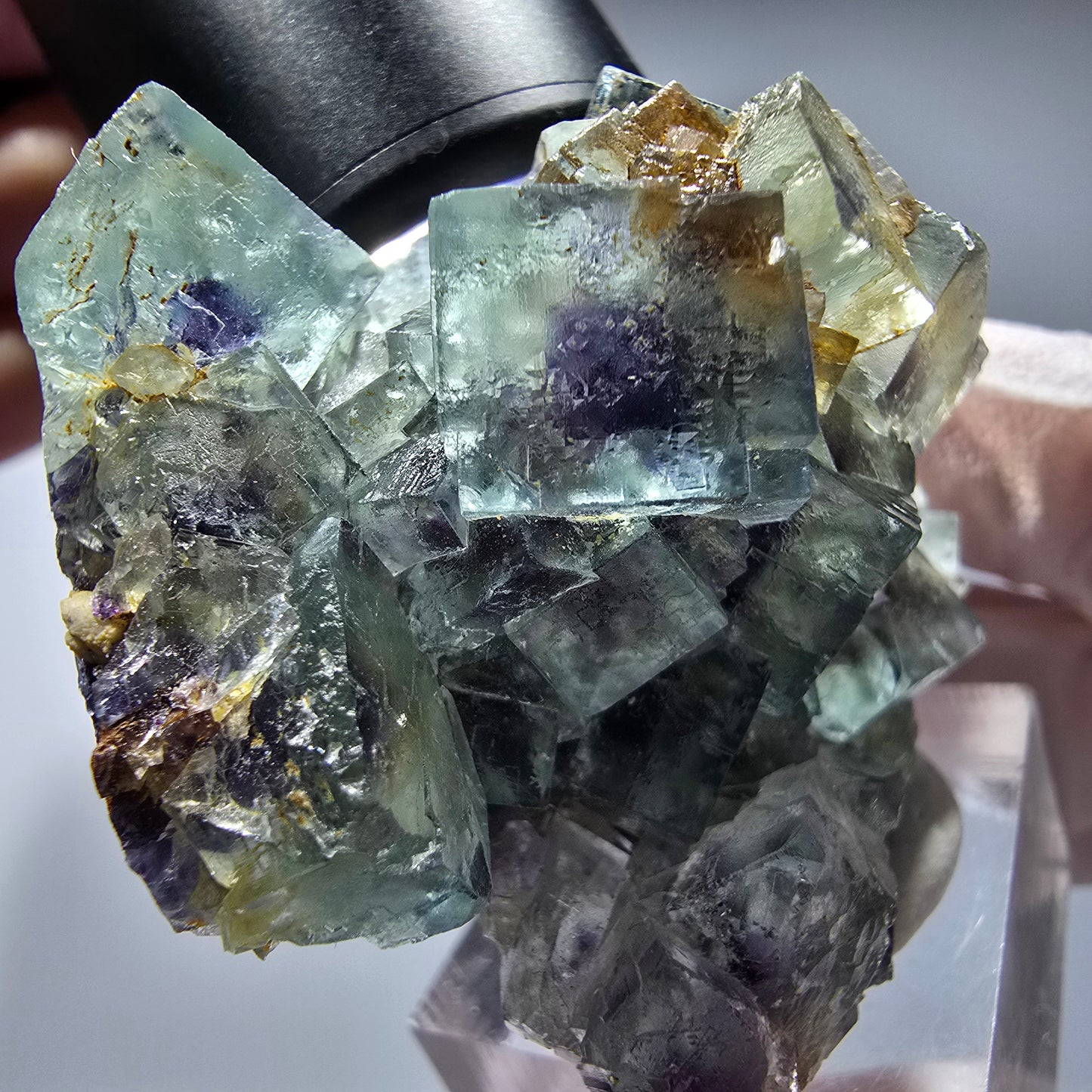 Seltene Phantom Fluorit Würfel Stufe, grün lila Okorusu, Namibia 55*44*30mm #13262