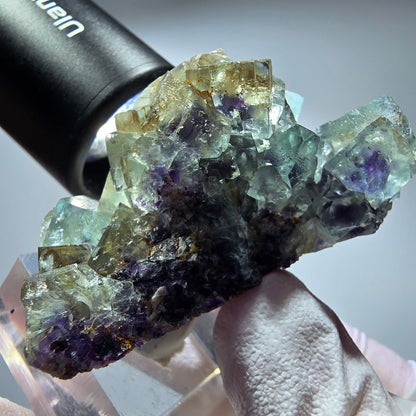 Seltene Phantom Fluorit Würfel Stufe, grün lila Okorusu, Namibia 55*44*30mm #13262