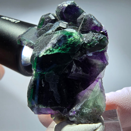Seltene Phantom Fluorit Würfel Stufe, grün lila Okorusu, Namibia 54*35*22mm #13263