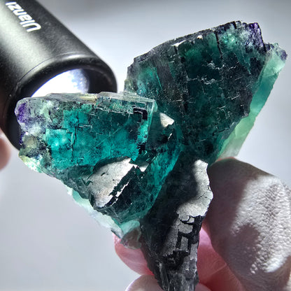 Phantom Fluorit Würfel Stufe, parkettiert Okorusu, Namibia 52*38*28mm #13264