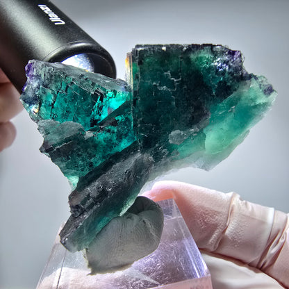 Phantom Fluorit Würfel Stufe, parkettiert Okorusu, Namibia 52*38*28mm #13264