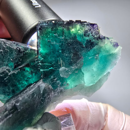 Phantom Fluorit Würfel Stufe, parkettiert Okorusu, Namibia 52*38*28mm #13264