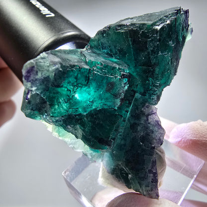 Phantom Fluorit Würfel Stufe, parkettiert Okorusu, Namibia 52*38*28mm #13264