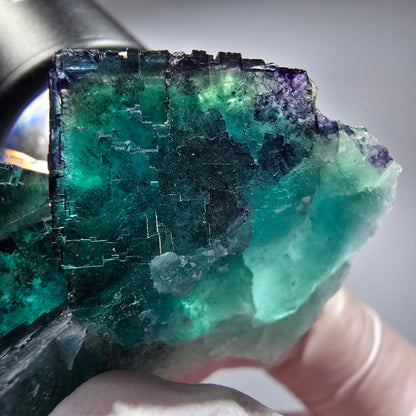 Phantom Fluorit Würfel Stufe, parkettiert Okorusu, Namibia 52*38*28mm #13264