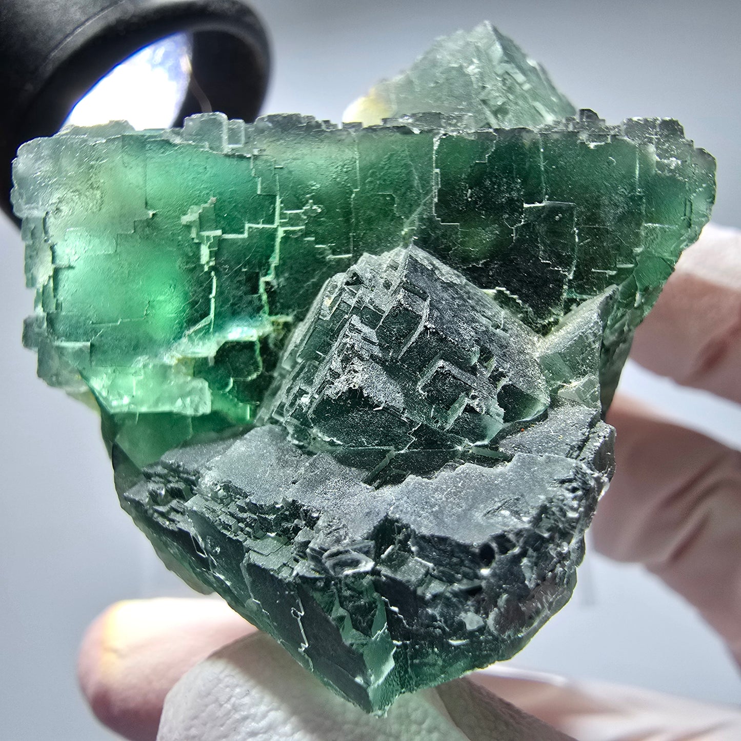 Phantom Fluorit Würfel Stufe, parkettiert grün Okorusu, Namibia 65*48*38mm #13265