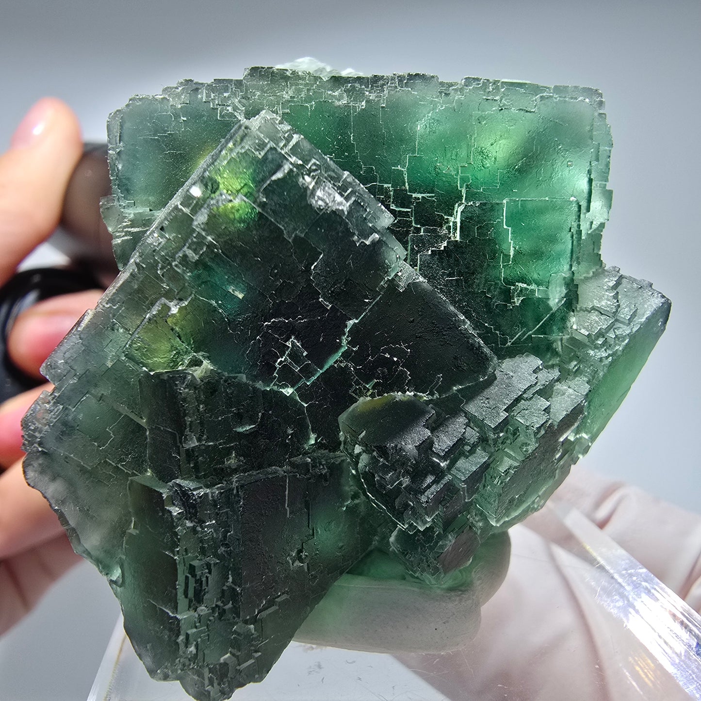 Phantom Fluorit Würfel Stufe, parkettiert grün Okorusu, Namibia 65*48*38mm #13265