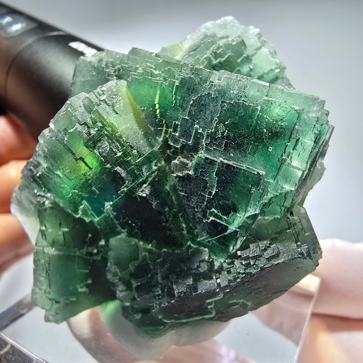 Phantom Fluorit Würfel Stufe, parkettiert grün Okorusu, Namibia 65*48*38mm #13265