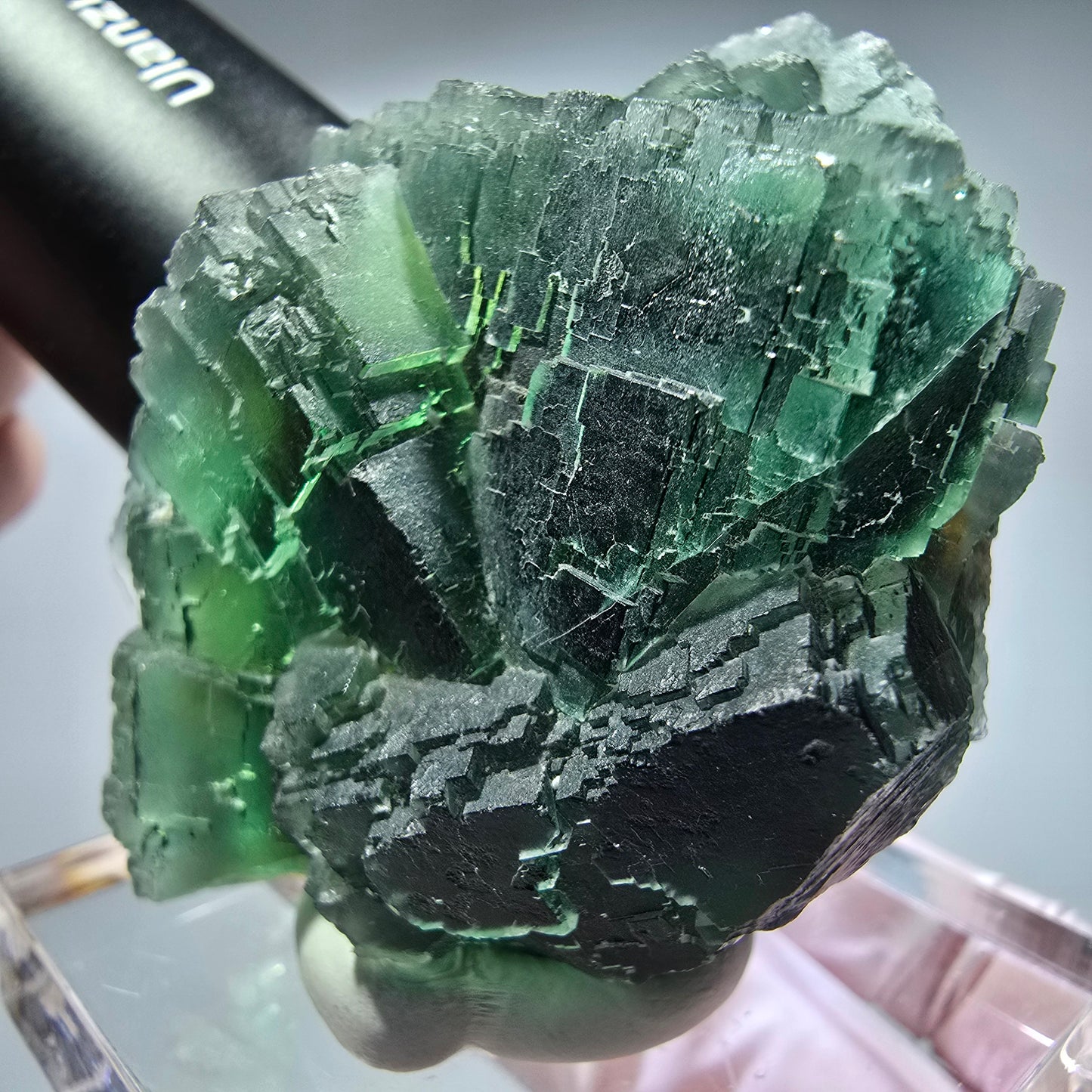 Phantom Fluorit Würfel Stufe, parkettiert grün Okorusu, Namibia 65*48*38mm #13265