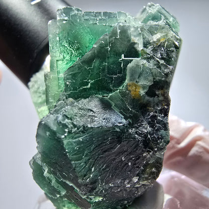 Phantom Fluorit Würfel Stufe, parkettiert grün Okorusu, Namibia 65*48*38mm #13265
