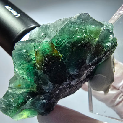 Phantom Fluorit Würfel Stufe, parkettiert grün Okorusu, Namibia 65*48*38mm #13265