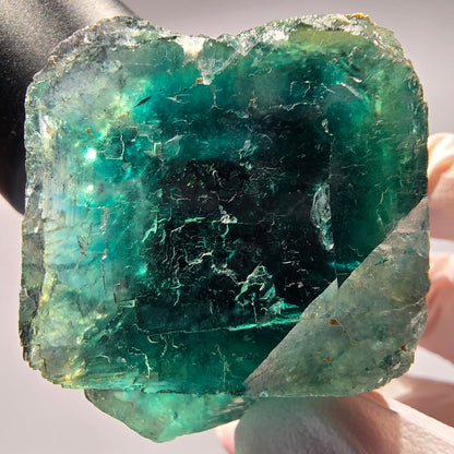 Phantom Fluorit Würfel Stufe, parkettiert grün Okorusu, Namibia 53*40*34mm #13266