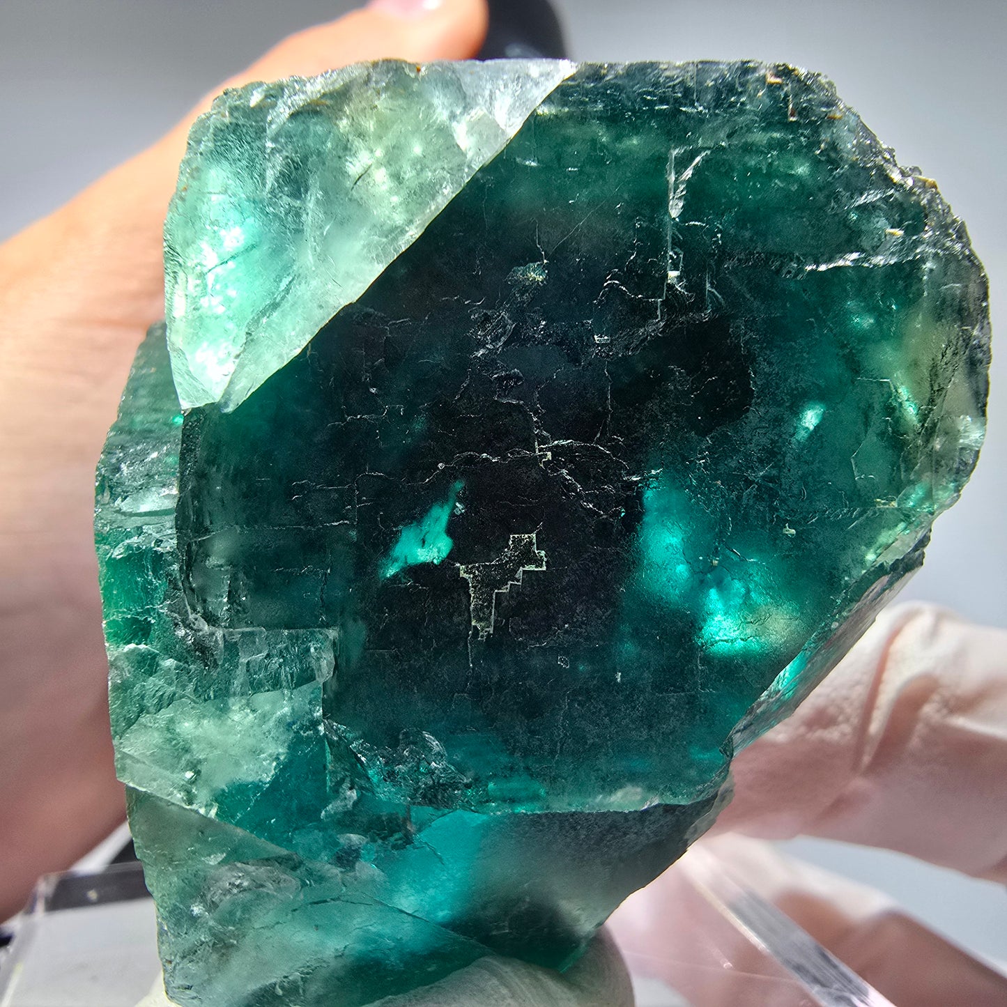 Phantom Fluorit Würfel Stufe, parkettiert grün Okorusu, Namibia 53*40*34mm #13266