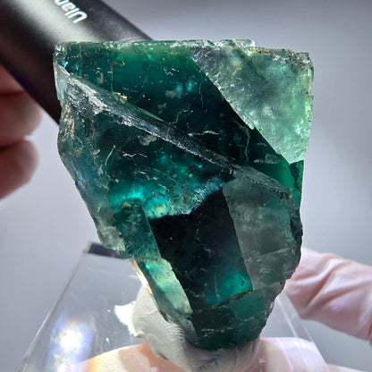 Phantom Fluorit Würfel Stufe, parkettiert grün Okorusu, Namibia 53*40*34mm #13266