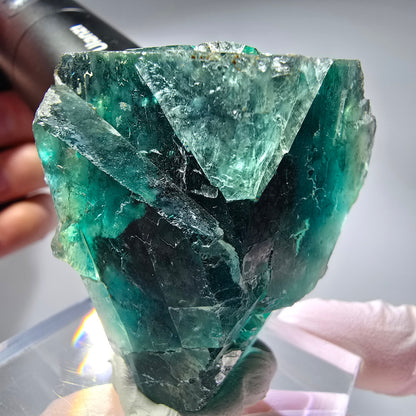 Phantom Fluorit Würfel Stufe, parkettiert grün Okorusu, Namibia 53*40*34mm #13266