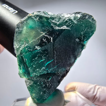 Phantom Fluorit Würfel Stufe, parkettiert grün Okorusu, Namibia 53*40*34mm #13266