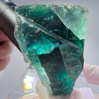 Phantom Fluorit Würfel Stufe, parkettiert grün Okorusu, Namibia 53*40*34mm #13266