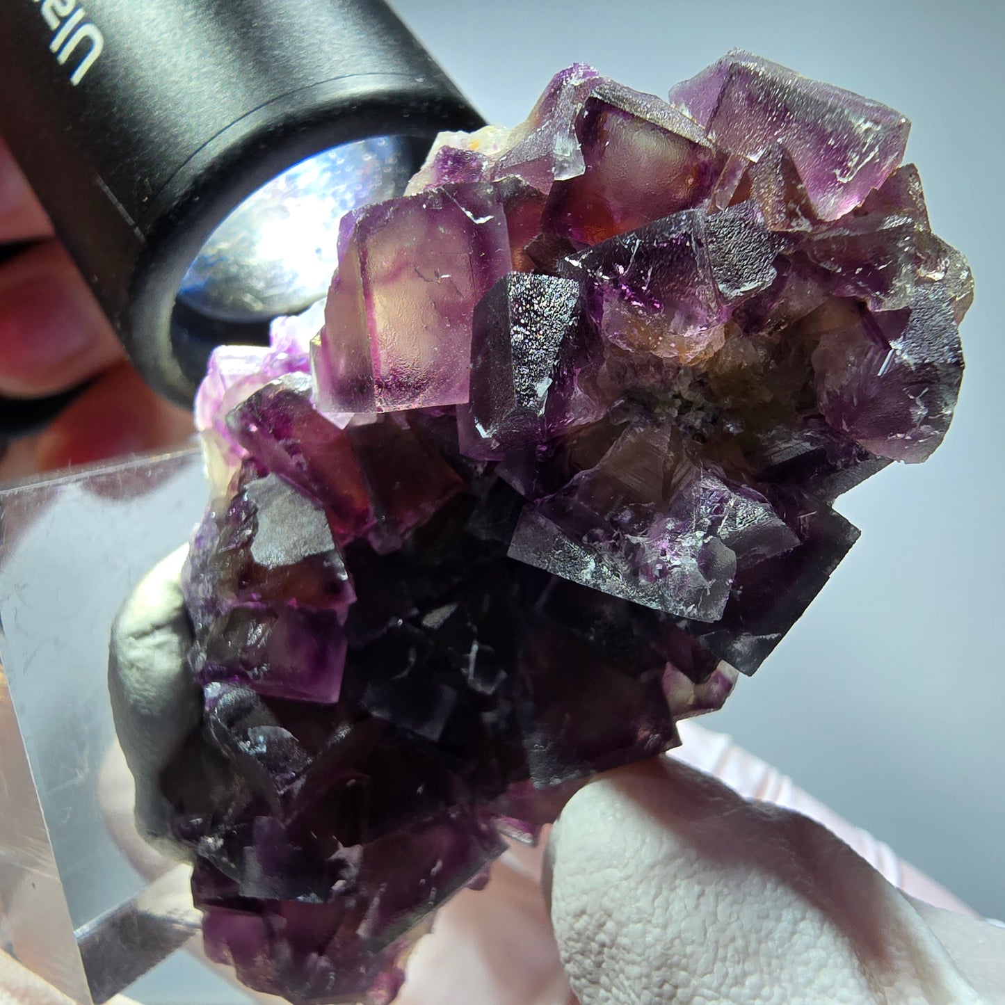 Seltene Phantom Fluorit Würfel Stufe, lila gelb Okorusu, Namibia 62*35*22mm #13270