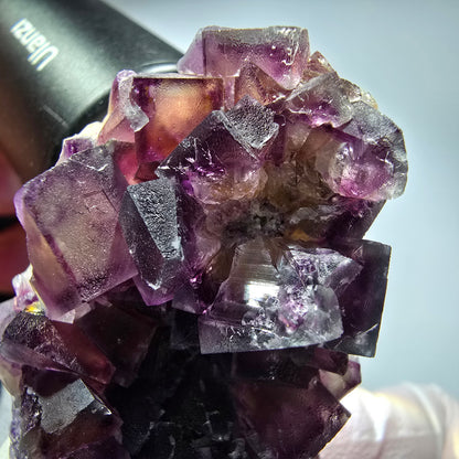 Seltene Phantom Fluorit Würfel Stufe, lila gelb Okorusu, Namibia 62*35*22mm #13270
