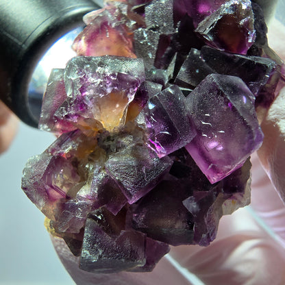 Seltene Phantom Fluorit Würfel Stufe, lila gelb Okorusu, Namibia 62*35*22mm #13270