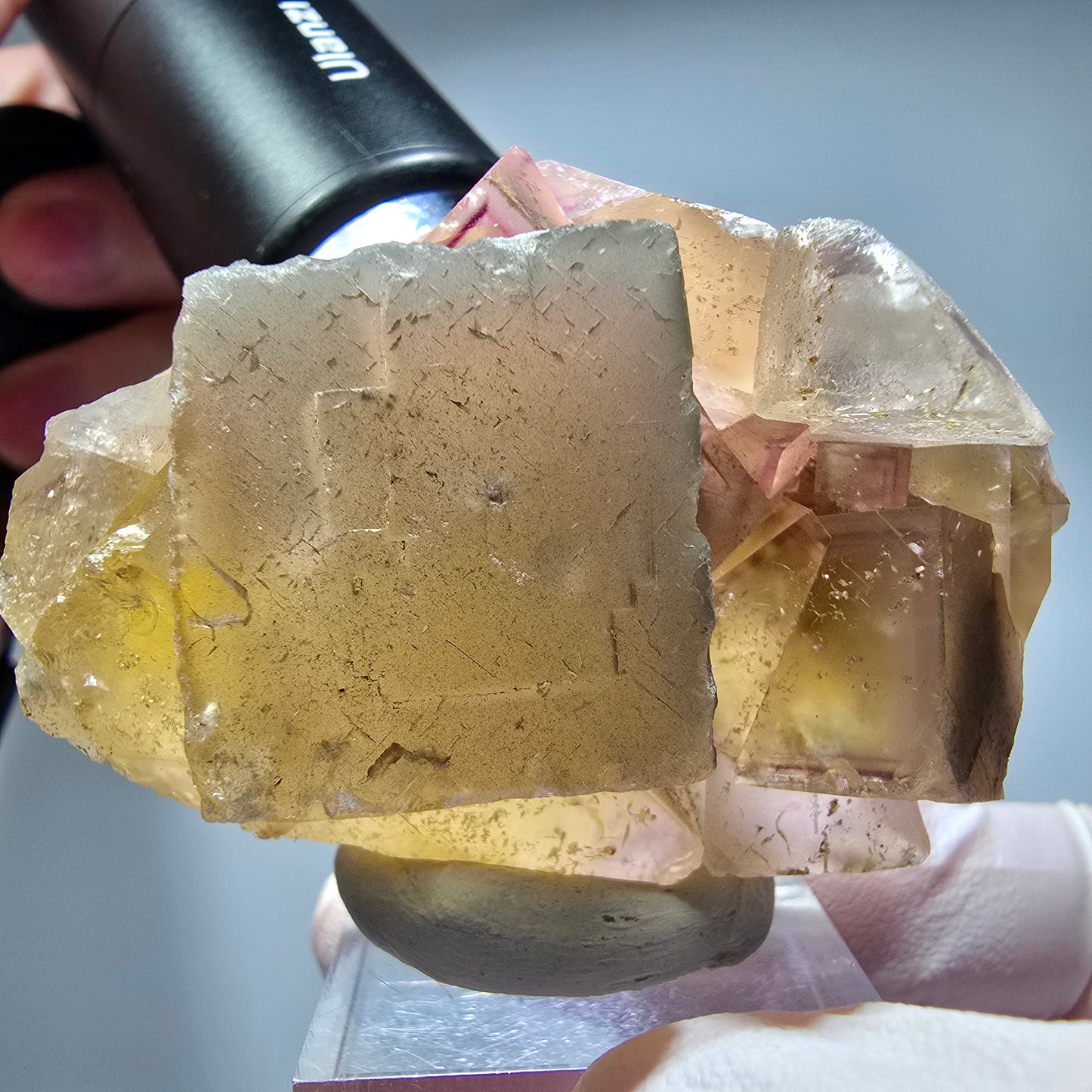 Seltene Phantom Fluorit Würfel Stufe, lila gelb Okorusu, Namibia 59*41*27mm #13271