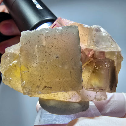 Seltene Phantom Fluorit Würfel Stufe, lila gelb Okorusu, Namibia 59*41*27mm #13271