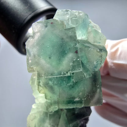 Seltene Phantom Fluorit Würfel Stufe, grün lila Okorusu, Namibia 68*44*19mm #13274