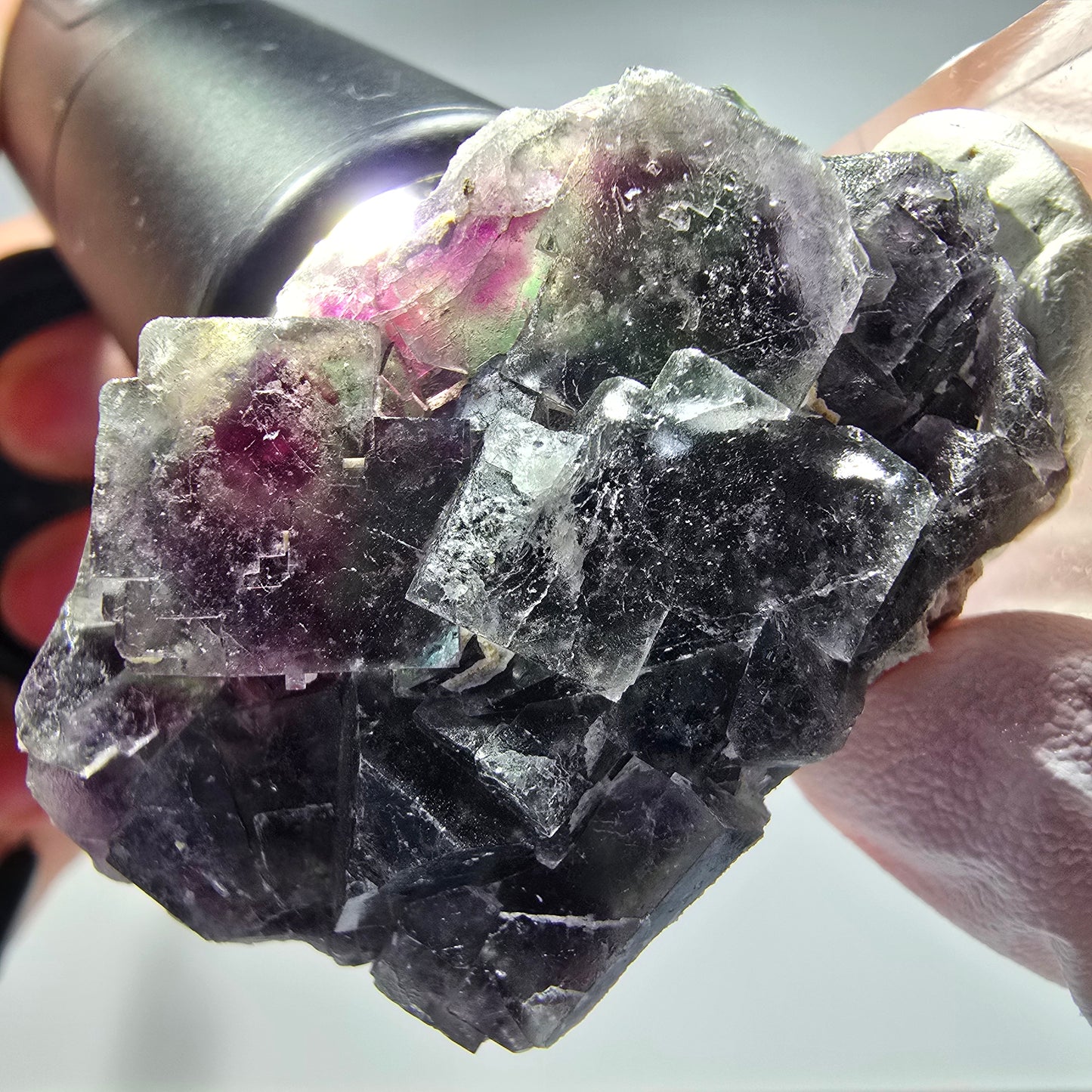 Seltene Phantom Fluorit Würfel Stufe, grün lila Okorusu, Namibia 51*32*21mm #13275