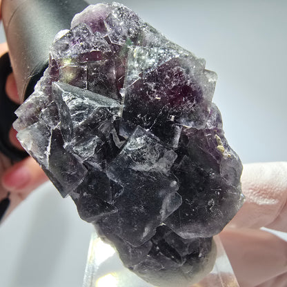 Seltene Phantom Fluorit Würfel Stufe, grün lila Okorusu, Namibia 51*32*21mm #13275