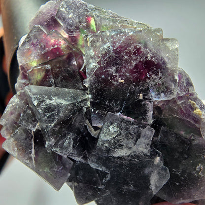 Seltene Phantom Fluorit Würfel Stufe, grün lila Okorusu, Namibia 51*32*21mm #13275