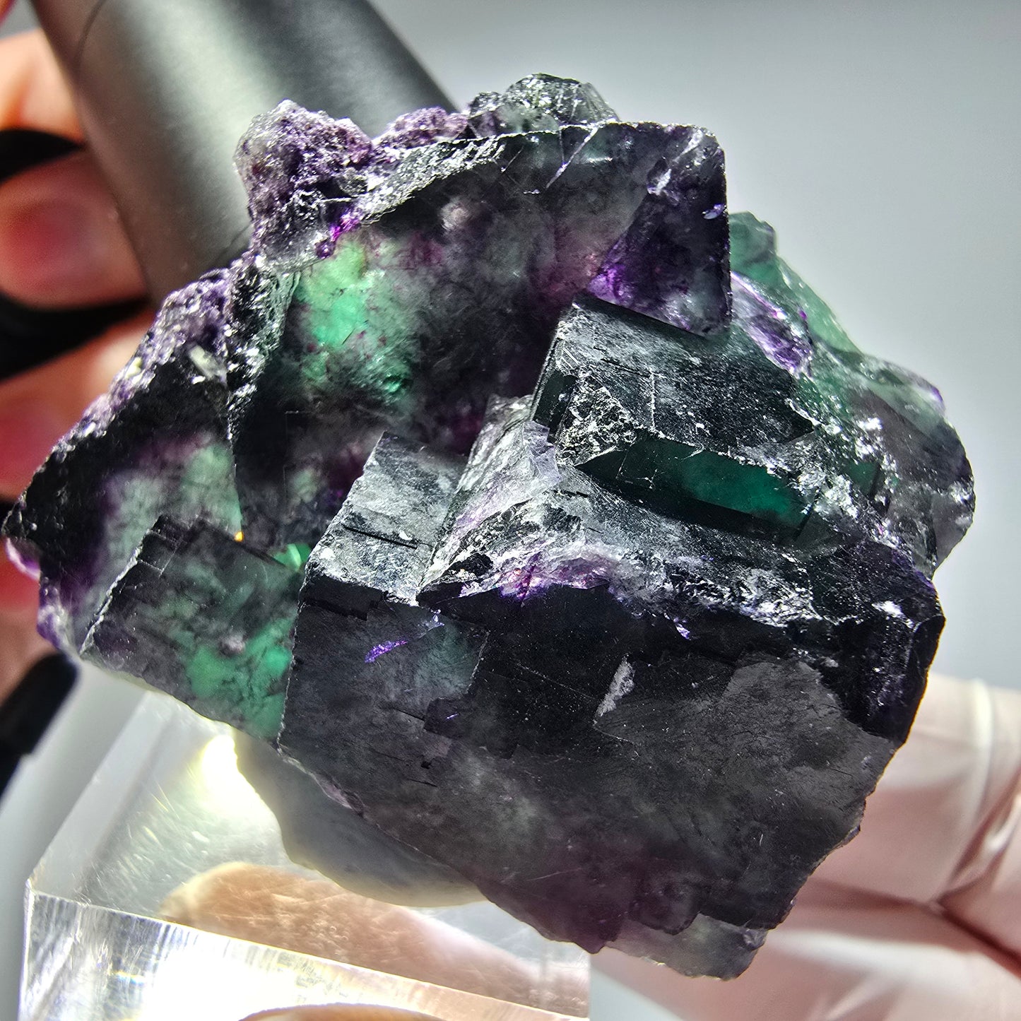 Seltene Phantom Fluorit Würfel Stufe, grün lila Okorusu, Namibia 51*44*27mm #13276