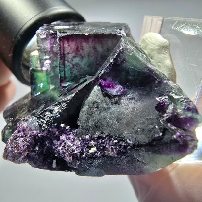 Seltene Phantom Fluorit Würfel Stufe, grün lila Okorusu, Namibia 51*44*27mm #13276