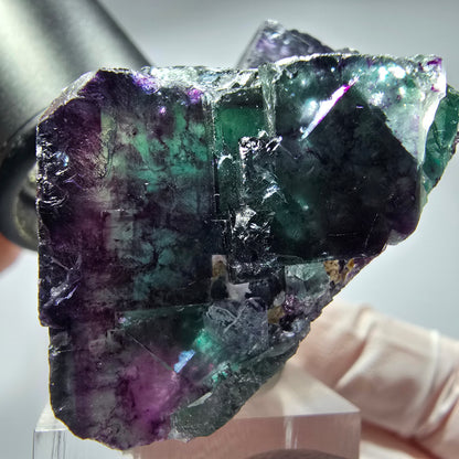 Seltene Phantom Fluorit Würfel Stufe, grün lila Okorusu, Namibia 51*44*27mm #13276
