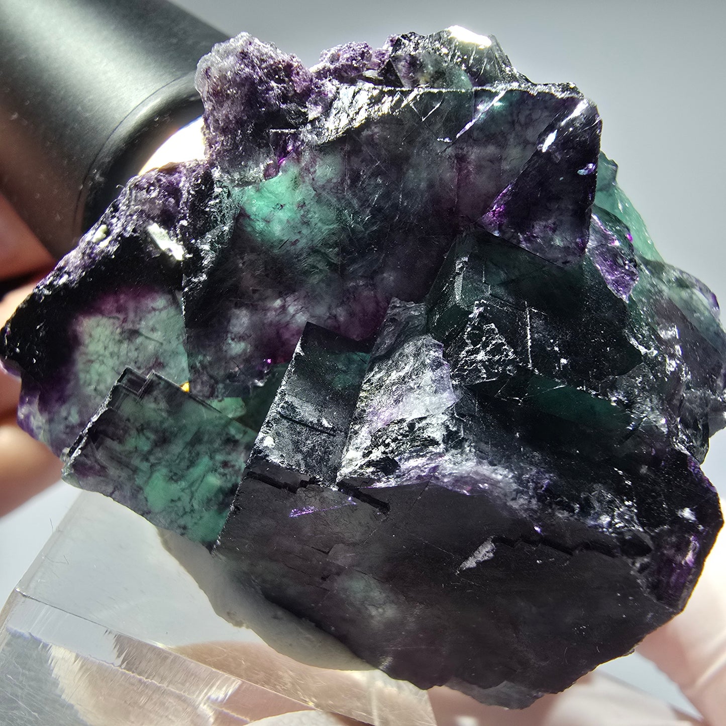 Seltene Phantom Fluorit Würfel Stufe, grün lila Okorusu, Namibia 51*44*27mm #13276