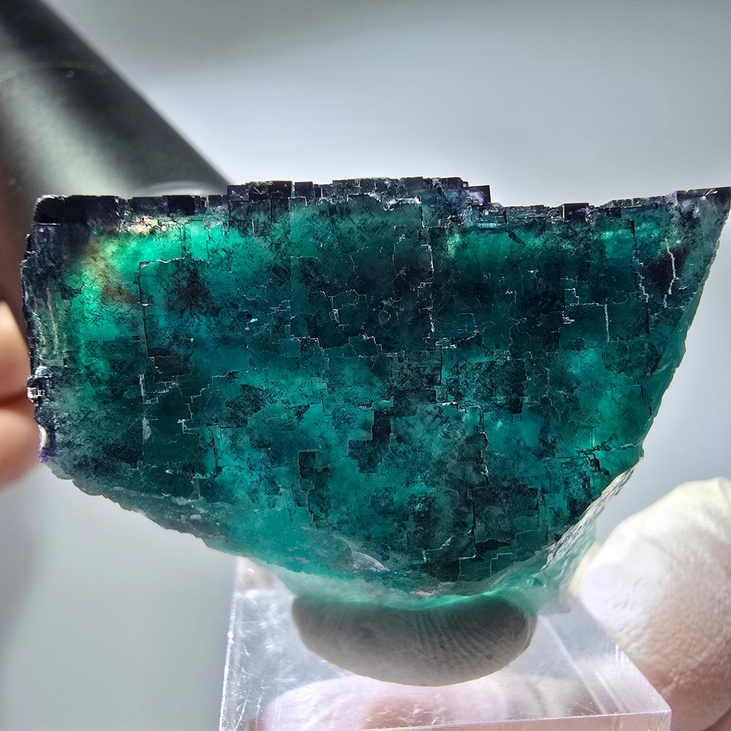 Phantom Fluorit Würfel Stufe, parkettiert Okorusu, Namibia 41*32*21mm #13278