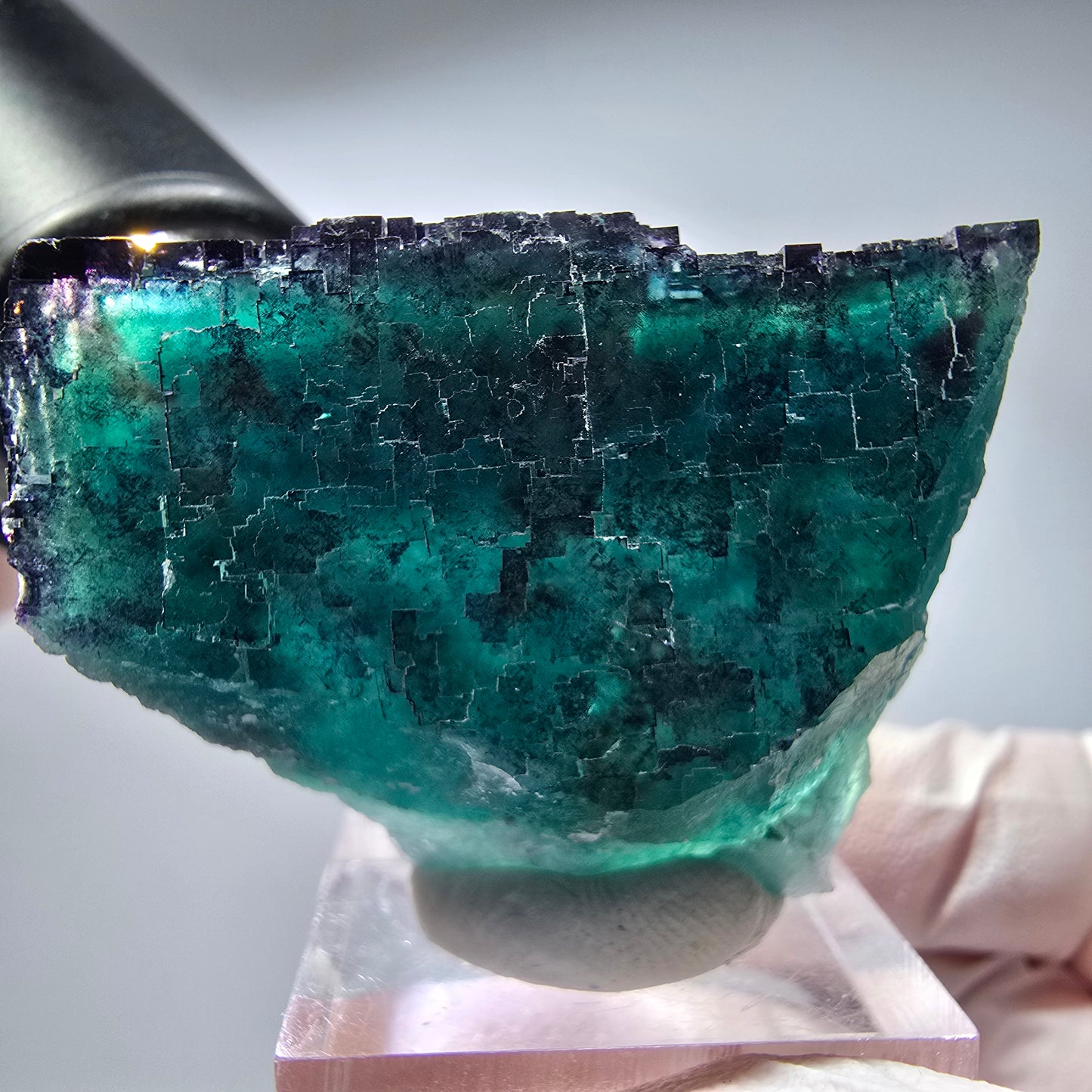 Phantom Fluorit Würfel Stufe, parkettiert Okorusu, Namibia 41*32*21mm #13278