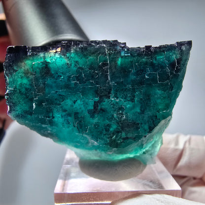 Phantom Fluorit Würfel Stufe, parkettiert Okorusu, Namibia 41*32*21mm #13278