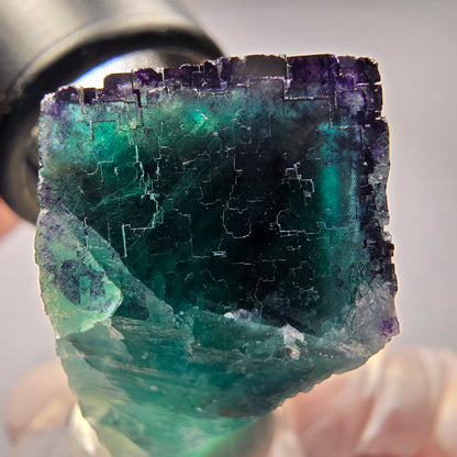 Phantom Fluorit Würfel Stufe, parkettiert Okorusu, Namibia 41*32*21mm #13278