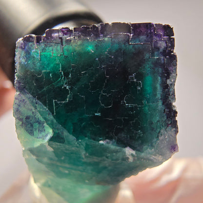 Phantom Fluorit Würfel Stufe, parkettiert Okorusu, Namibia 41*32*21mm #13278