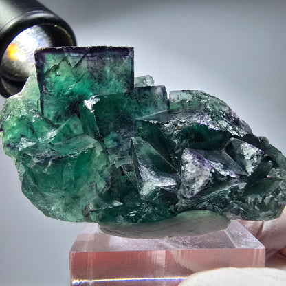 Seltene Phantom Fluorit Würfel Stufe, grün lila Okorusu, Namibia 56*35*19mm #13280