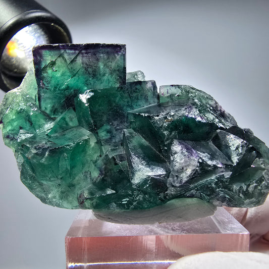 Seltene Phantom Fluorit Würfel Stufe, grün lila Okorusu, Namibia 56*35*19mm #13280