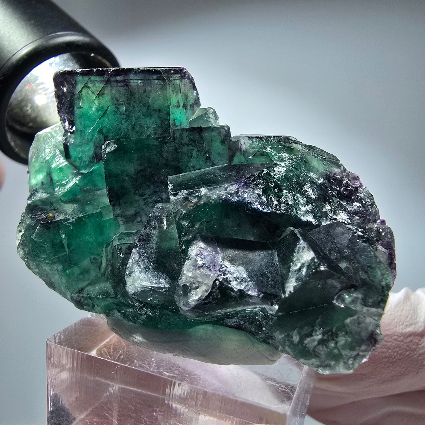 Seltene Phantom Fluorit Würfel Stufe, grün lila Okorusu, Namibia 56*35*19mm #13280