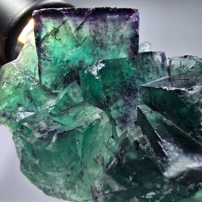 Seltene Phantom Fluorit Würfel Stufe, grün lila Okorusu, Namibia 56*35*19mm #13280