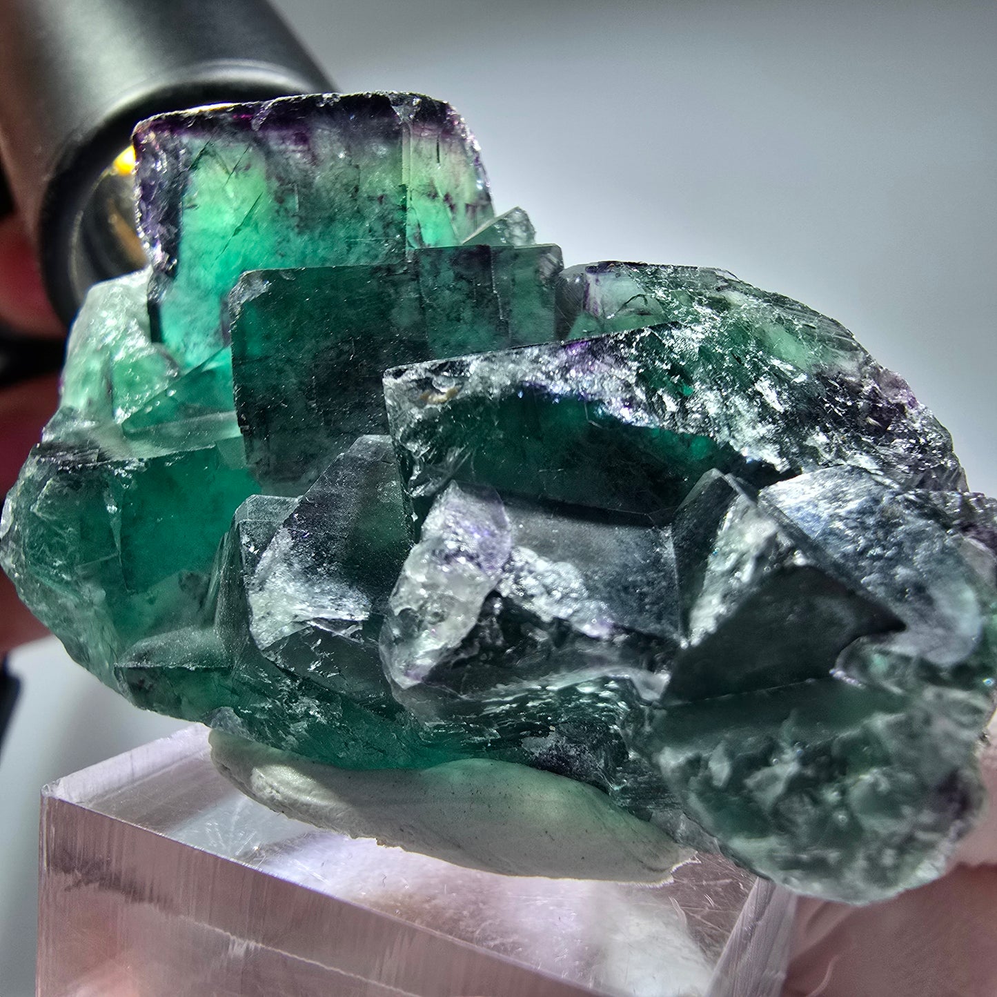 Seltene Phantom Fluorit Würfel Stufe, grün lila Okorusu, Namibia 56*35*19mm #13280