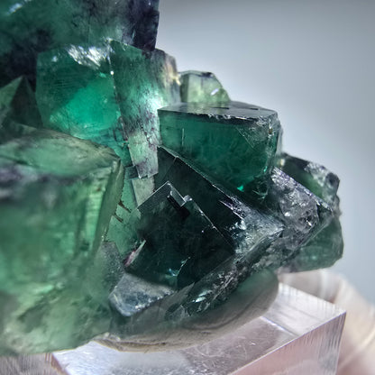 Seltene Phantom Fluorit Würfel Stufe, grün lila Okorusu, Namibia 56*35*19mm #13280