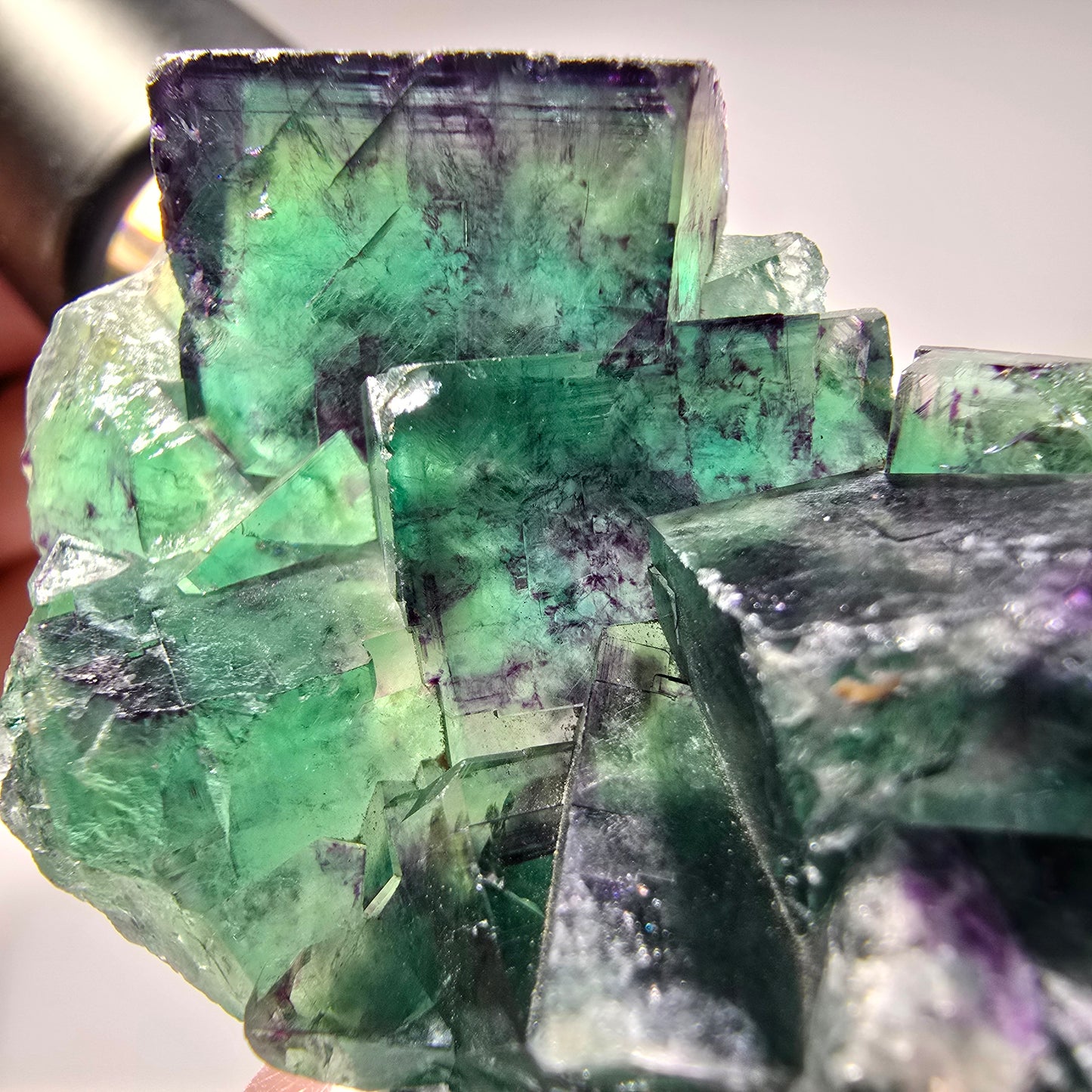 Seltene Phantom Fluorit Würfel Stufe, grün lila Okorusu, Namibia 56*35*19mm #13280