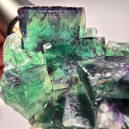 Seltene Phantom Fluorit Würfel Stufe, grün lila Okorusu, Namibia 56*35*19mm #13280